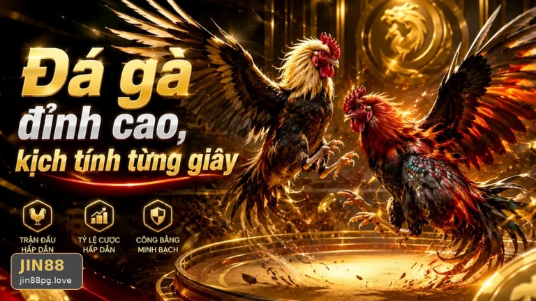Đọc Chi Tiết Giao Diện ĐÁ GÀ JIN88: Góc kiểm chứng theo tên miền và giải thích khái niệm và thuật ngữ cốt lõi của đá gà JIN88 dành cho người mới