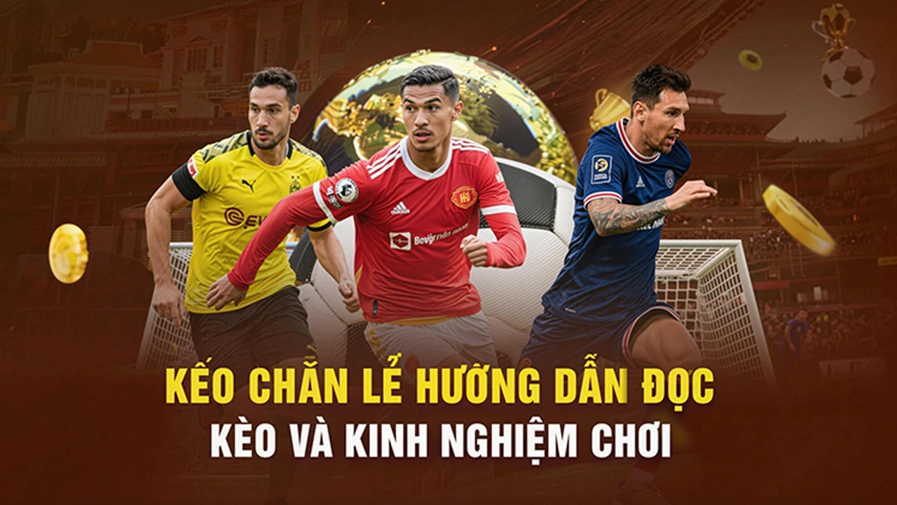 JIN88: Cẩm nang hướng dẫn theo từng bước – minh họa Hướng Dẫn